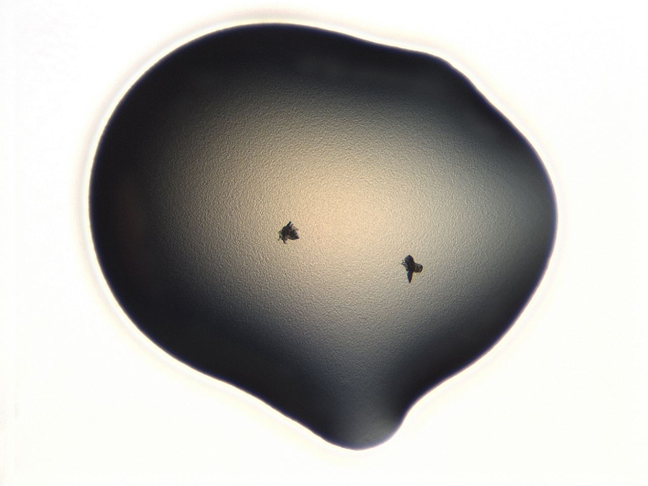 046y_B1_ImagerDefaults_0.jpg