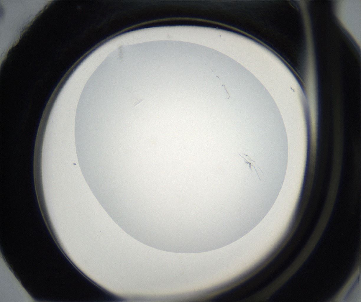 folderID138_plateID2138_batchID9246_wellNum88_profileID1_d2_r145373_ef.jpg
