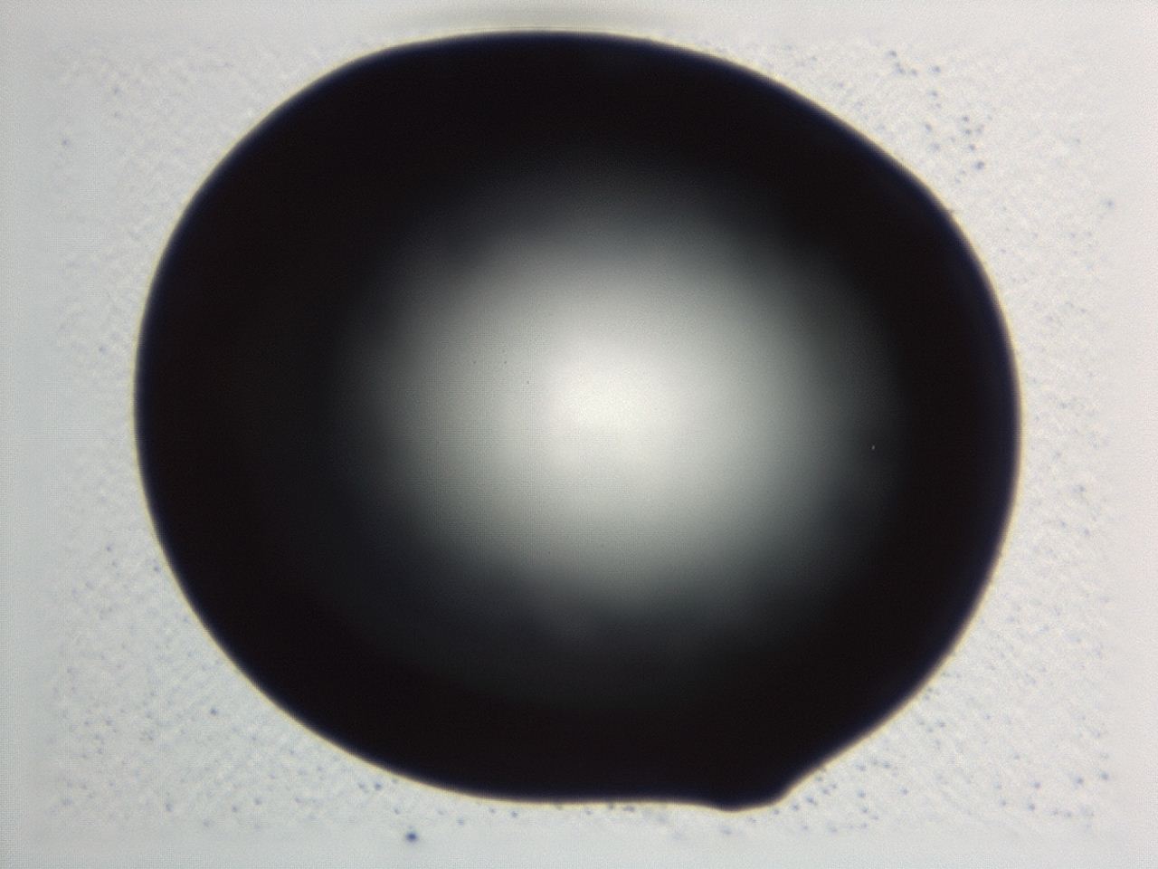 046y_E3_ImagerDefaults_0.jpg