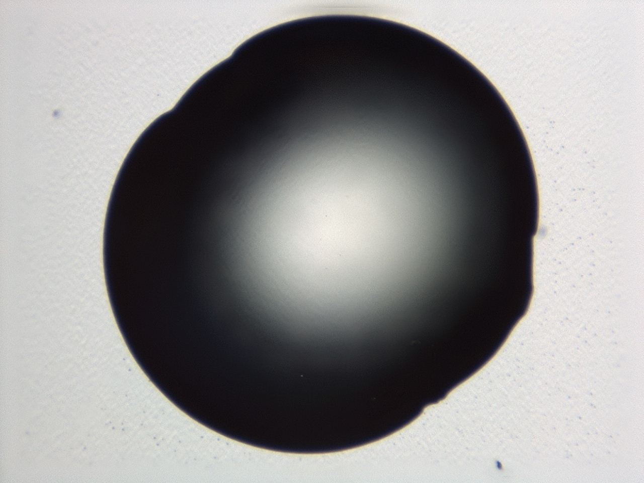 046y_D8_ImagerDefaults_0.jpg