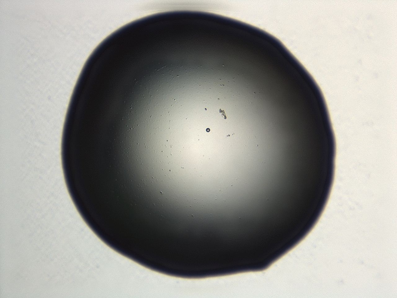 046y_G9_ImagerDefaults_0.jpg