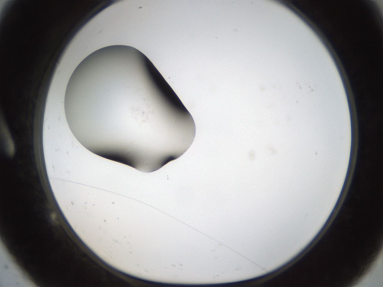 folderID141_plateID1141_batchID3662_wellNum9_profileID1_d1_r59075_ef.jpg