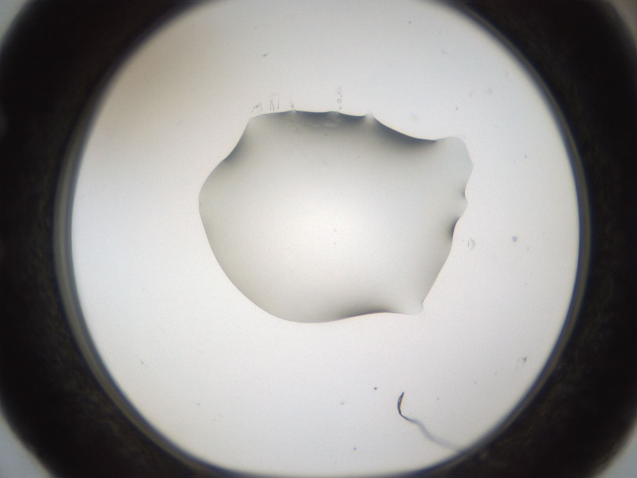 folderID142_plateID1142_batchID3664_wellNum52_profileID1_d1_r59982_ef.jpg