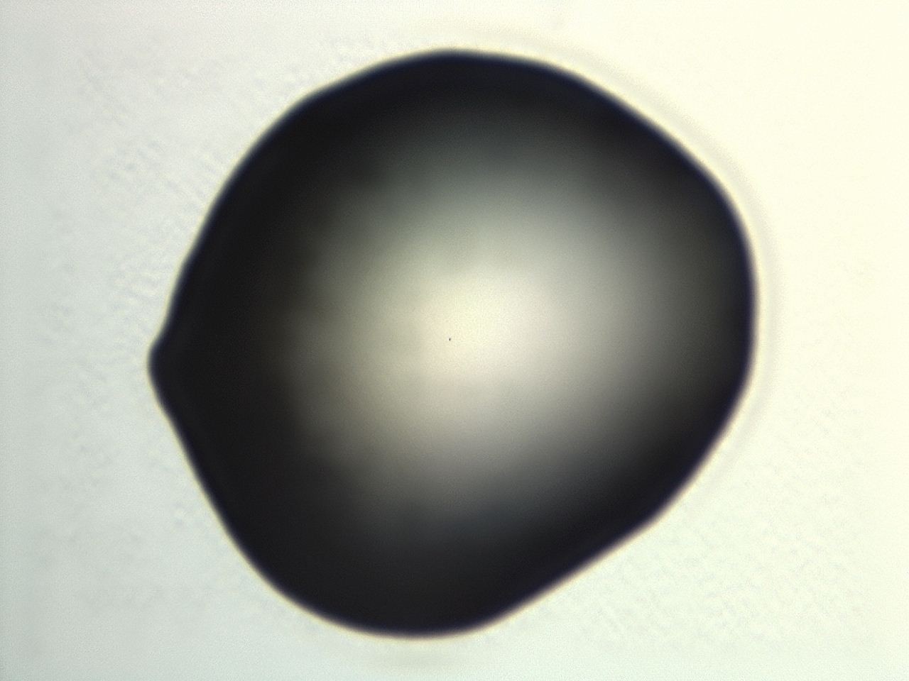 046y_H11_ImagerDefaults_0.jpg