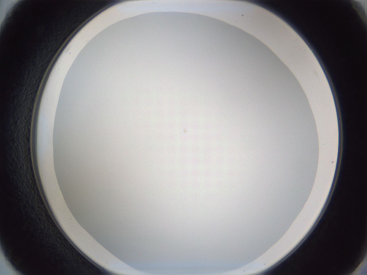 folderID165_plateID1165_batchID3016_wellNum50_profileID1_d2_r61186_ef.jpg