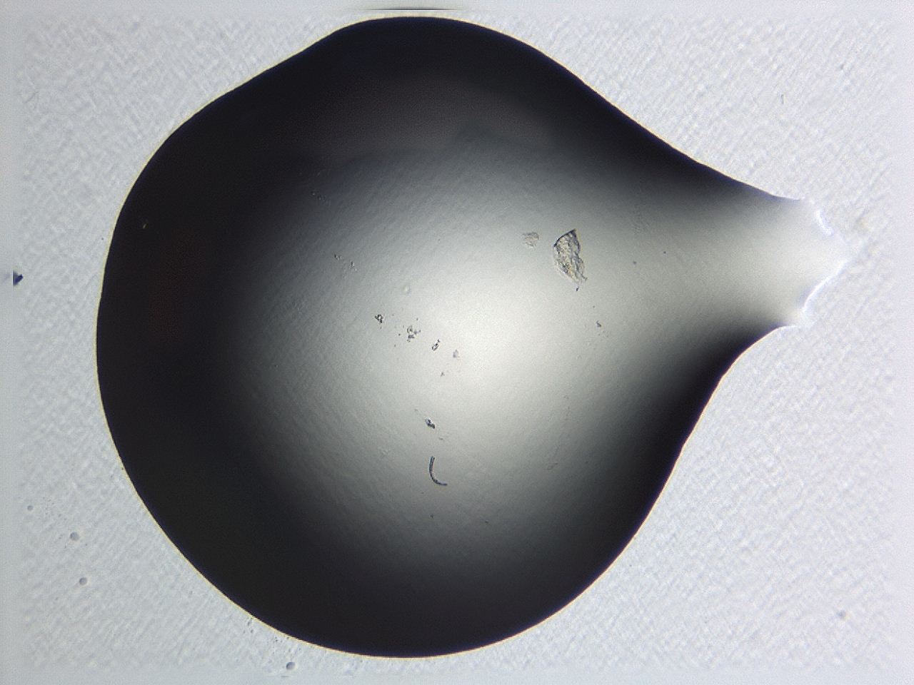 0471_D4_ImagerDefaults_1.jpg