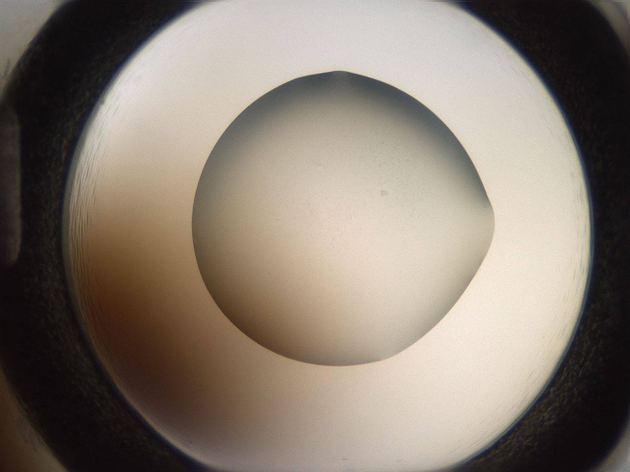 folderID185_plateID2185_batchID10242_wellNum85_profileID1_d1_r147915_ef.jpg