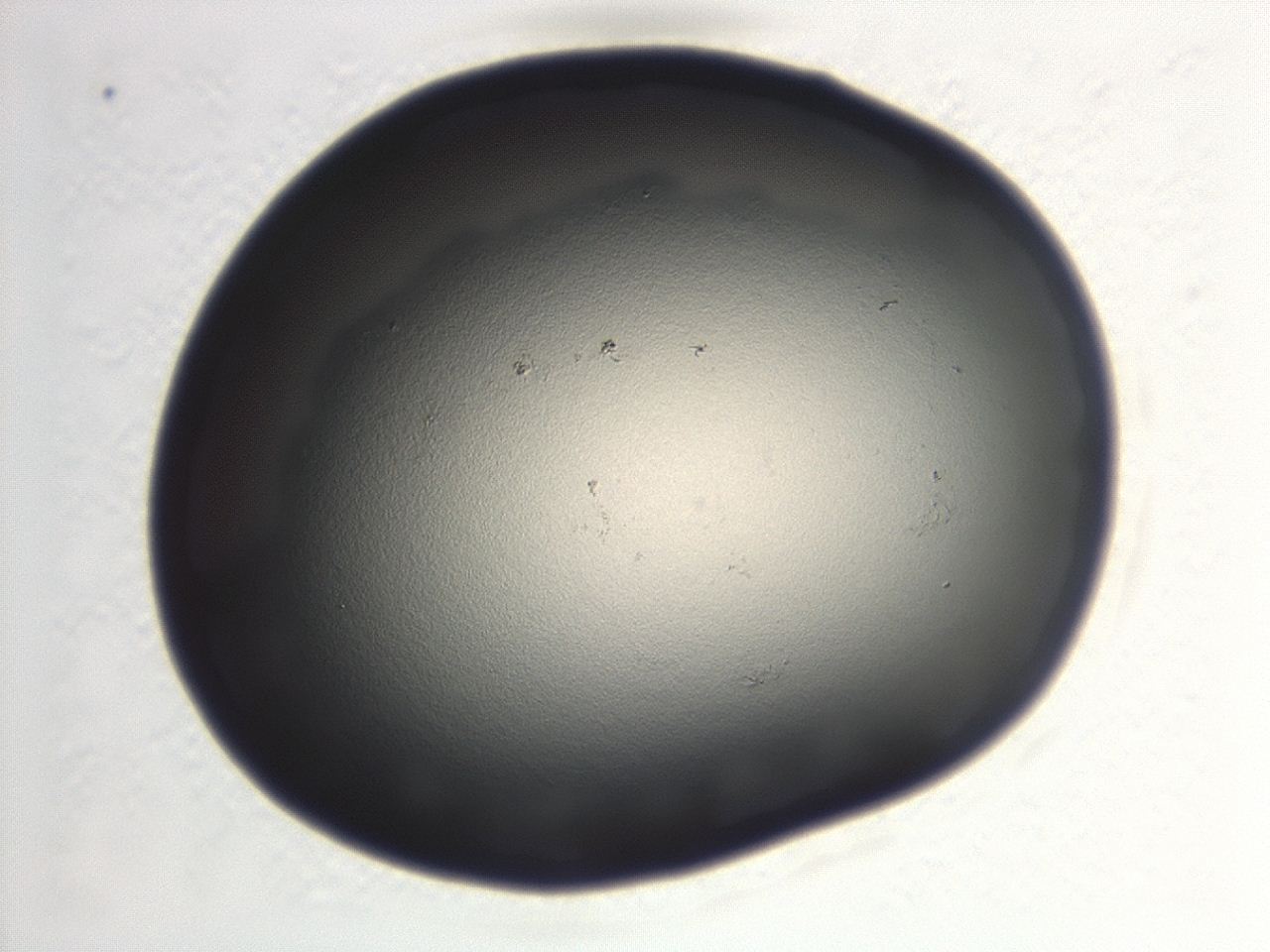0471_F1_ImagerDefaults_1.jpg