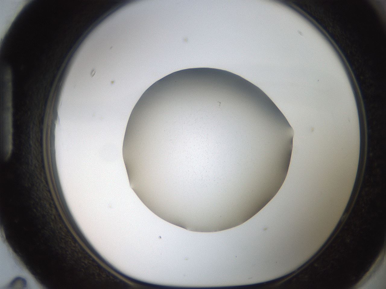 folderID185_plateID2185_batchID9841_wellNum95_profileID1_d1_r147925_ef.jpg