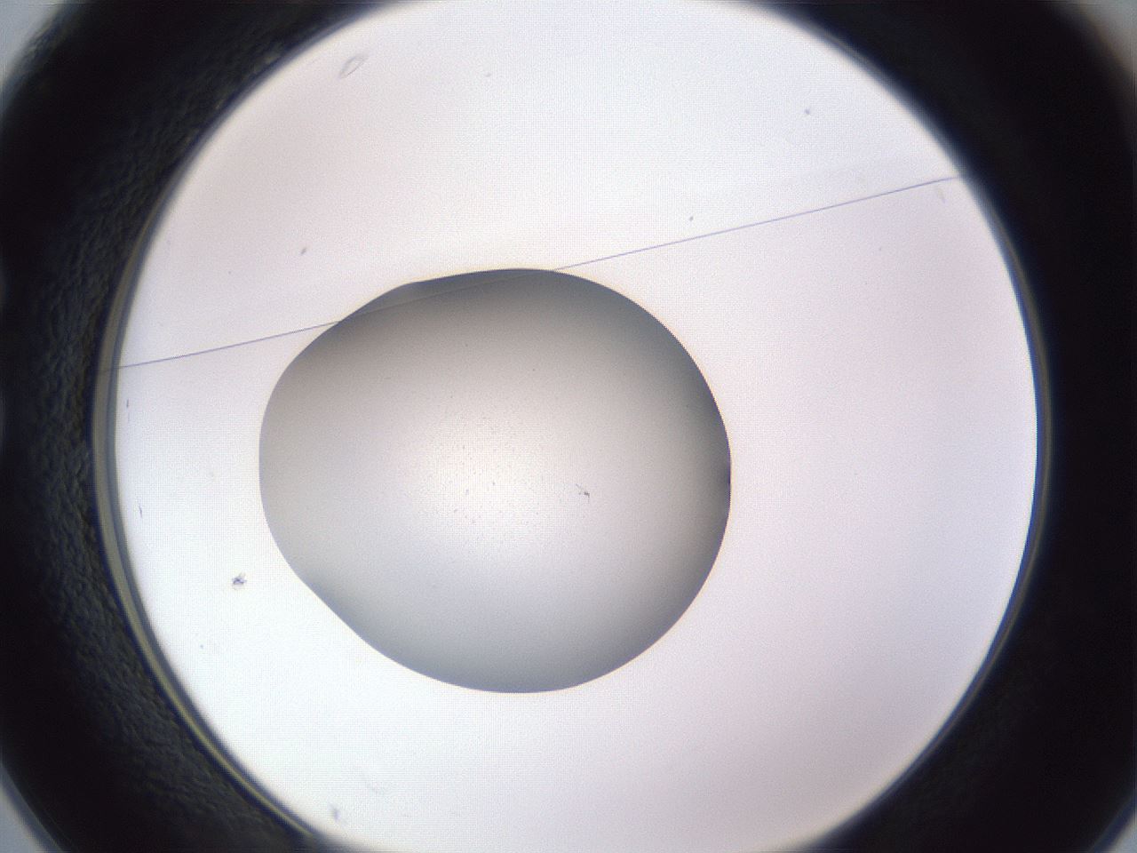 folderID191_plateID2191_batchID9798_wellNum25_profileID1_d1_r148335_ef.jpg