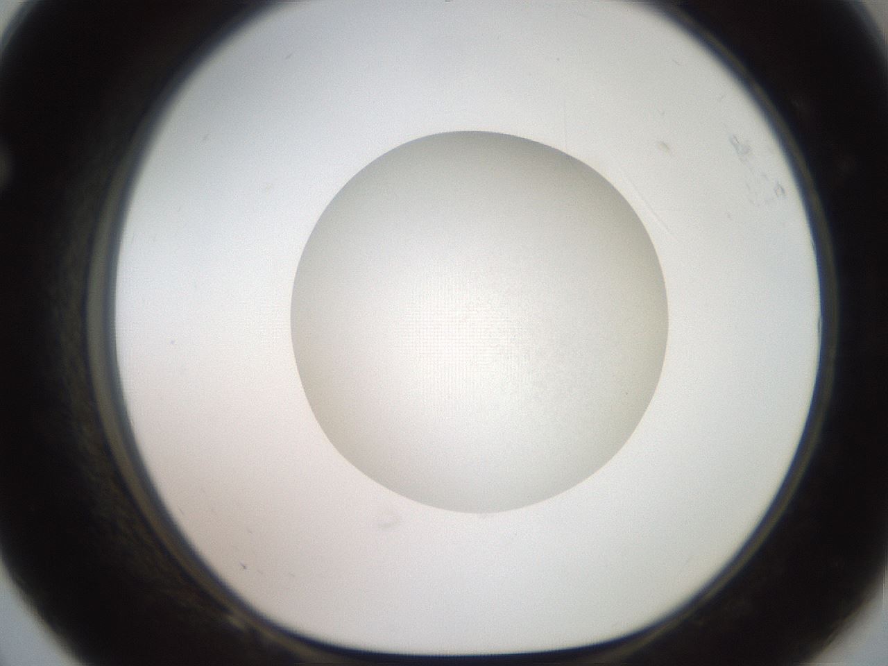 folderID19_plateID3019_batchID16495_wellNum68_profileID1_d1_r252041_ef.jpg