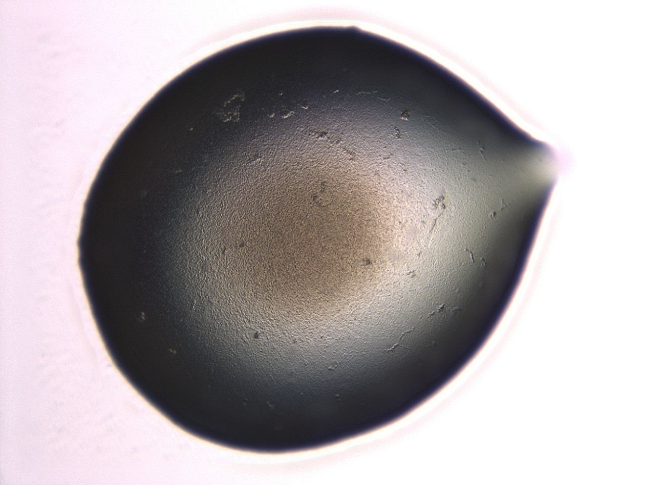 0471_H2_ImagerDefaults_1.jpg