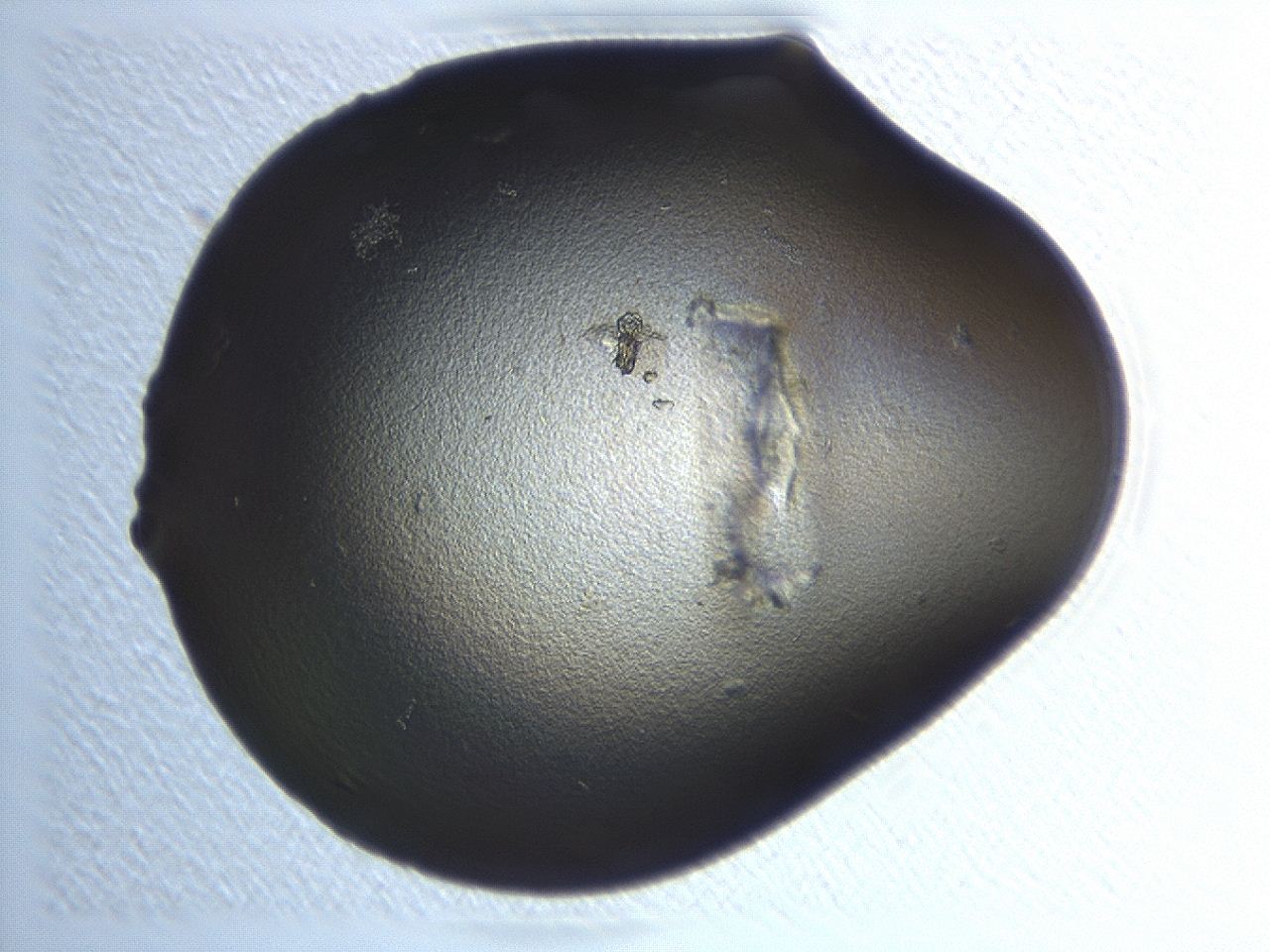 0471_H5_ImagerDefaults_1.jpg