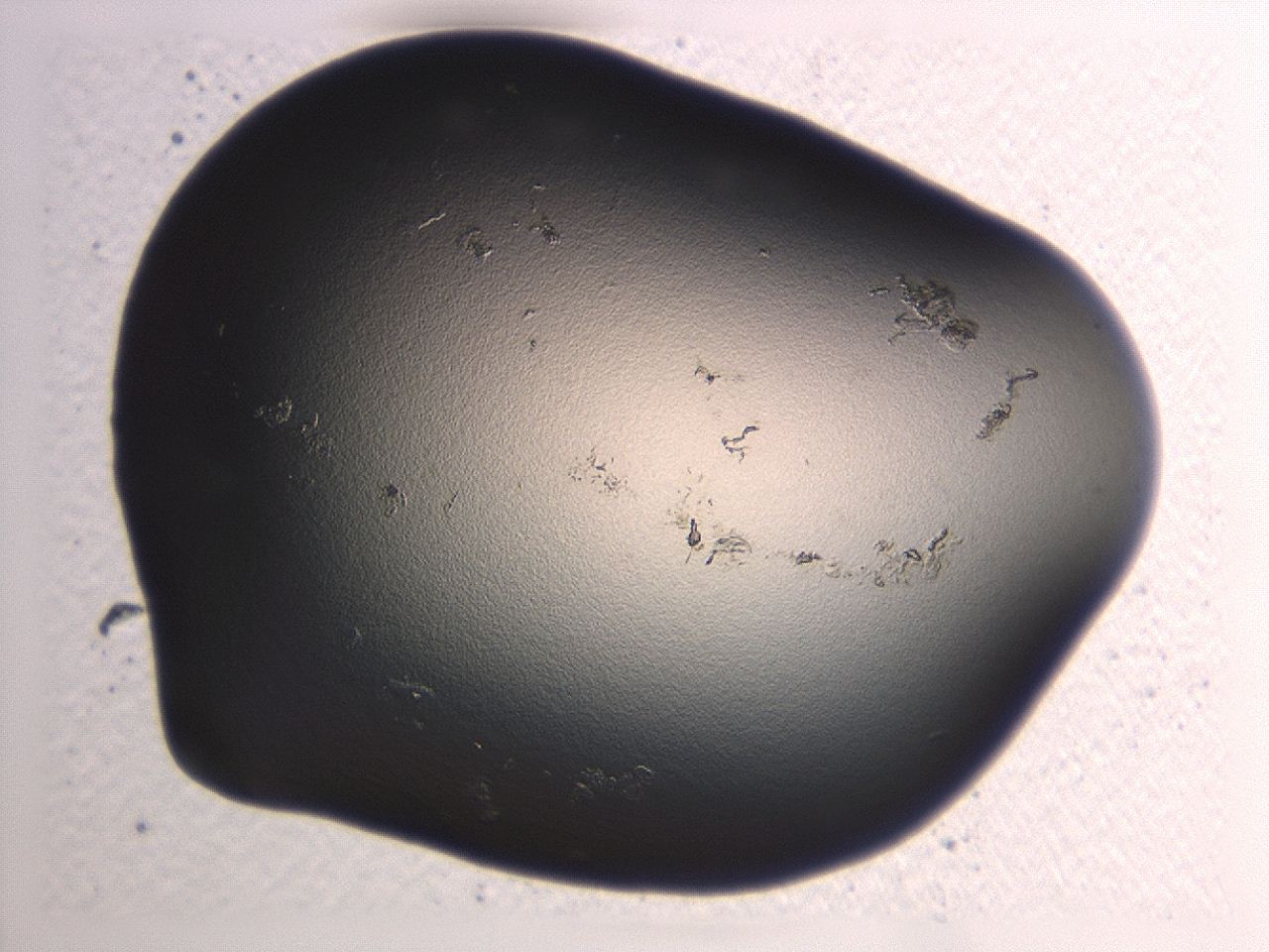 0471_H6_ImagerDefaults_1.jpg