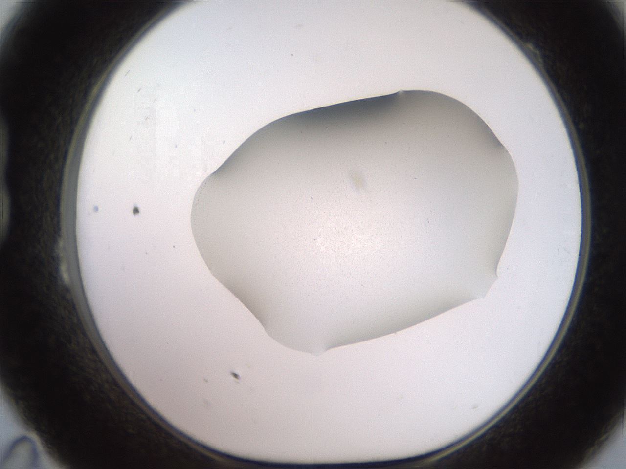 folderID205_plateID2205_batchID9800_wellNum23_profileID1_d1_r149987_ef.jpg