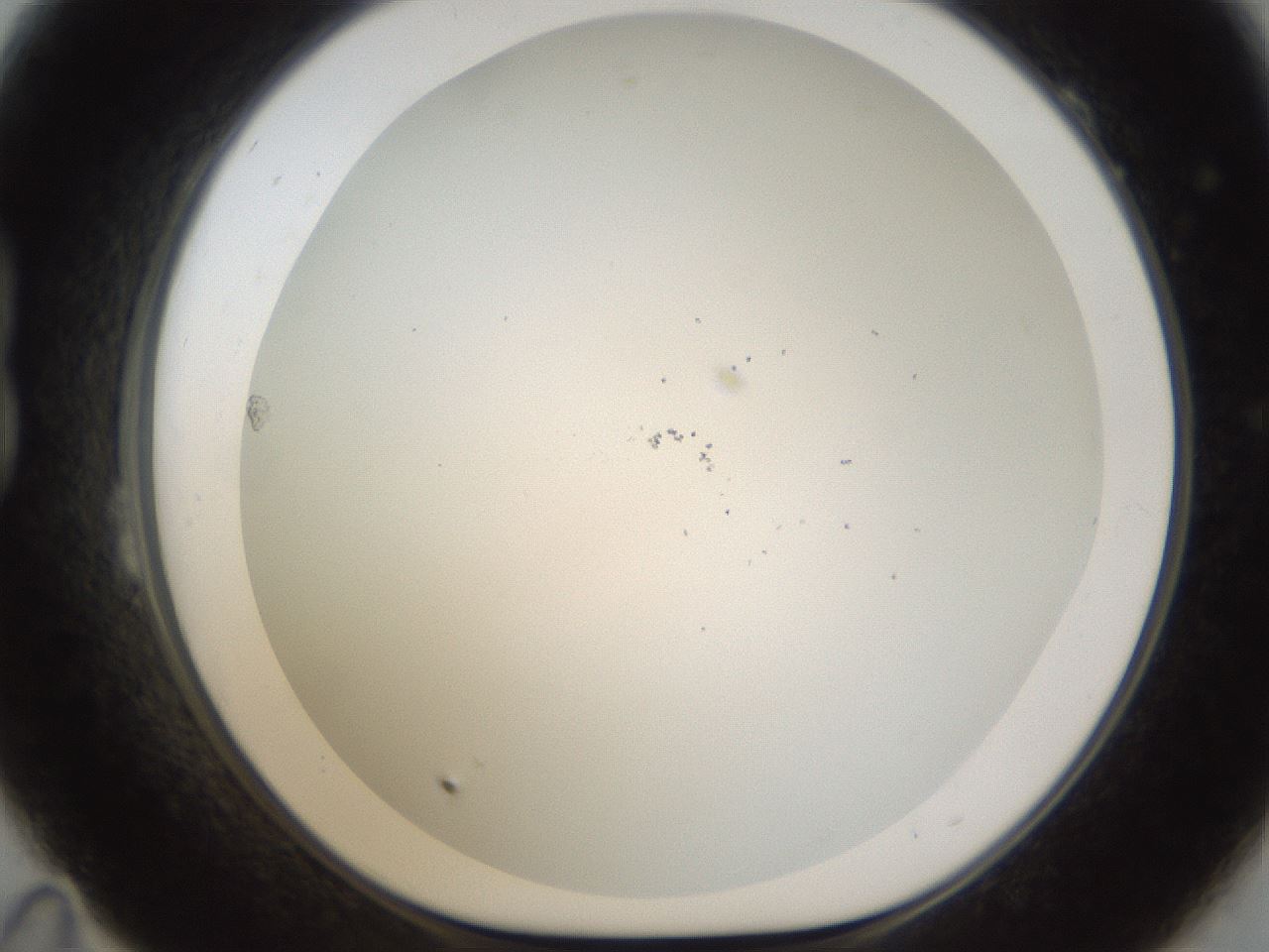 folderID213_plateID1213_batchID3433_wellNum23_profileID1_d1_r69004_ef.jpg