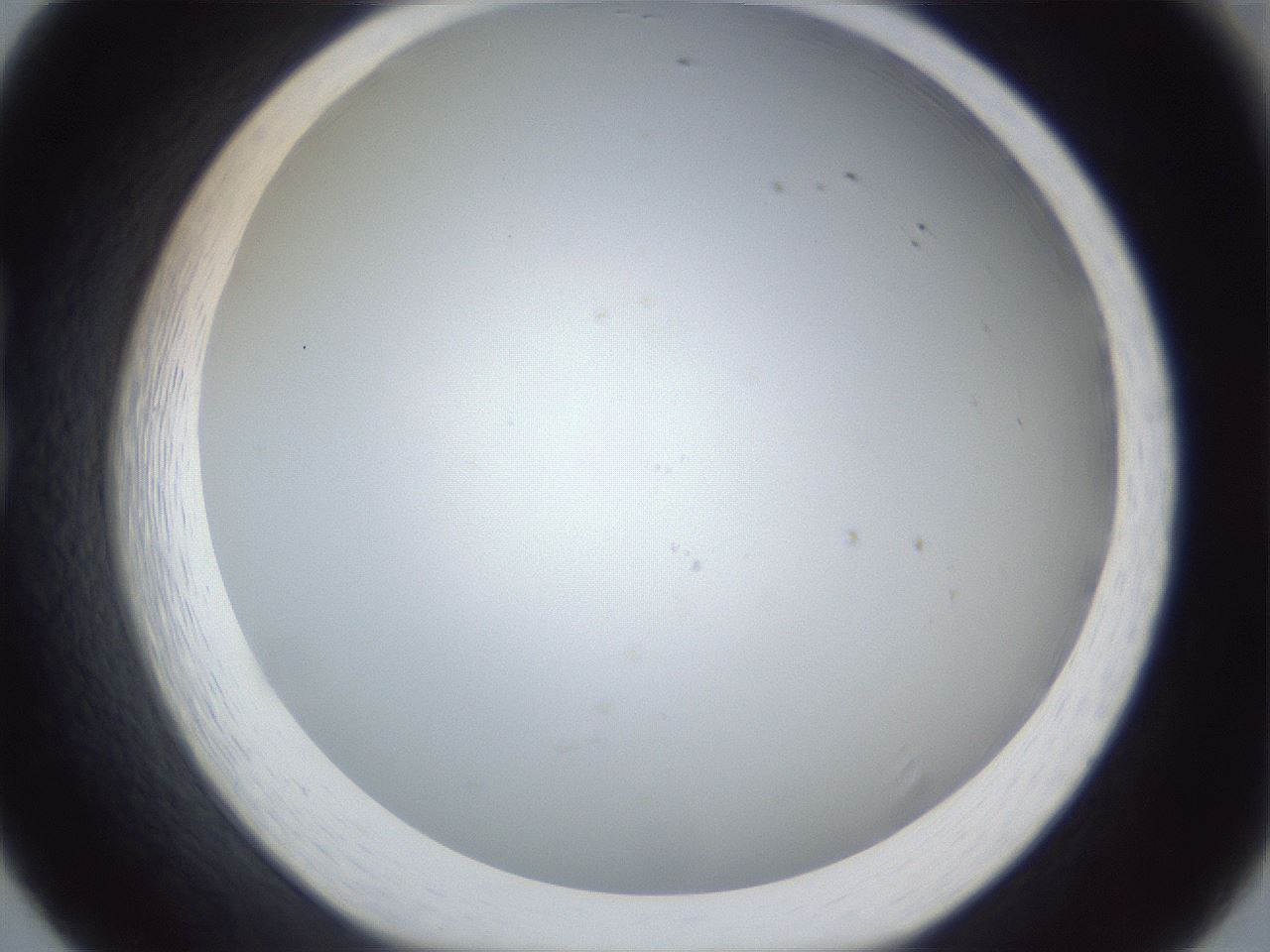folderID215_plateID1215_batchID3410_wellNum20_profileID1_d1_r67174_ef.jpg