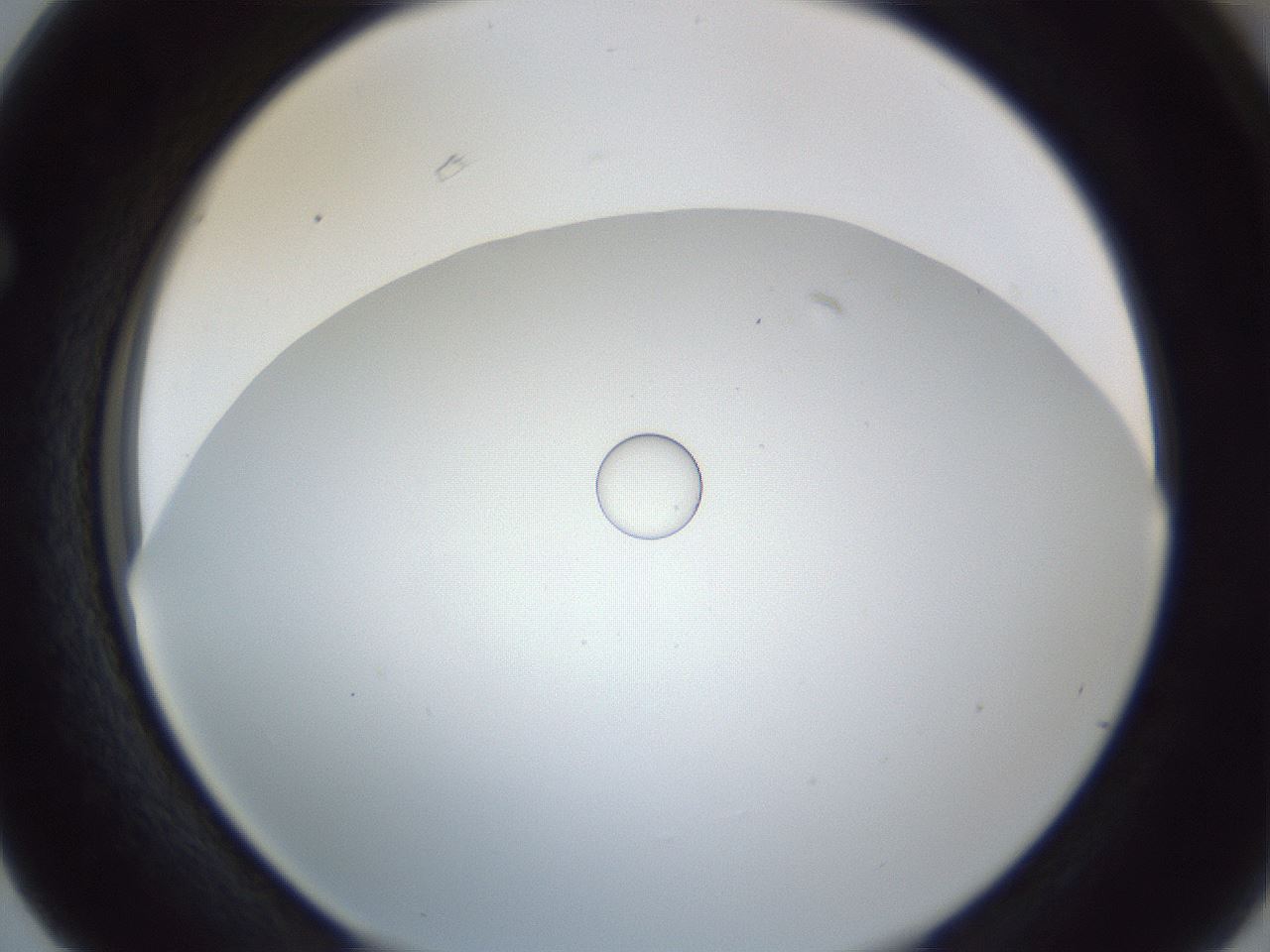 folderID215_plateID1215_batchID3410_wellNum63_profileID1_d1_r67260_ef.jpg