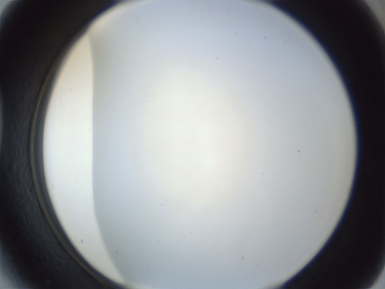 folderID216_plateID1216_batchID4655_wellNum41_profileID1_d1_r68176_ef.jpg
