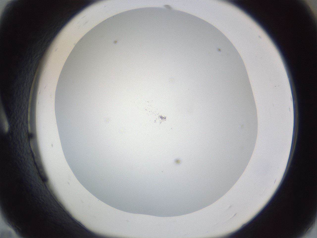 folderID217_plateID1217_batchID3527_wellNum11_profileID1_d1_r68788_ef.jpg
