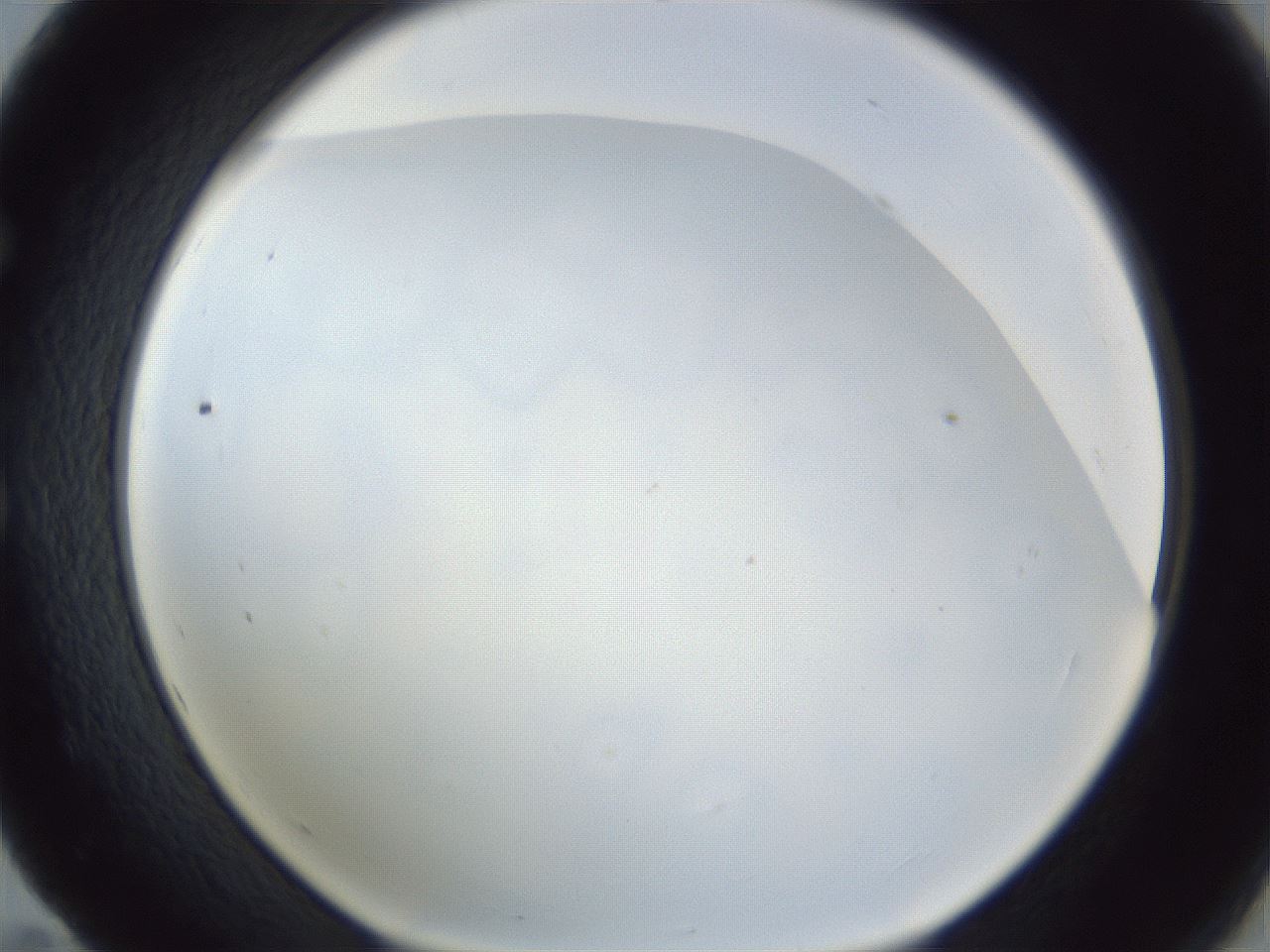 folderID218_plateID1218_batchID3531_wellNum59_profileID1_d1_r69460_ef.jpg