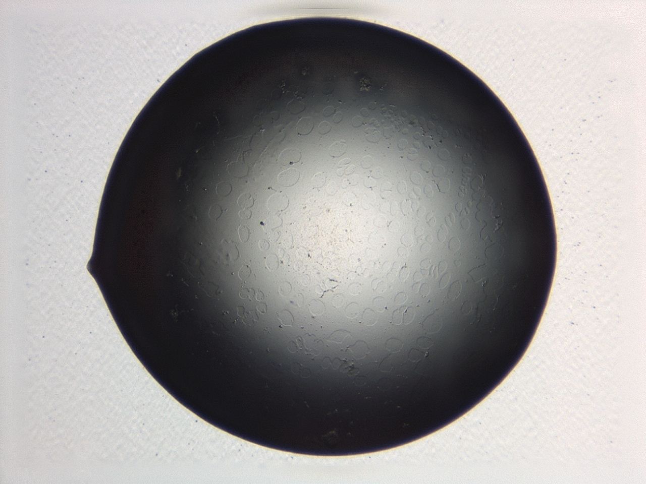 0472_B6_ImagerDefaults_1.jpg
