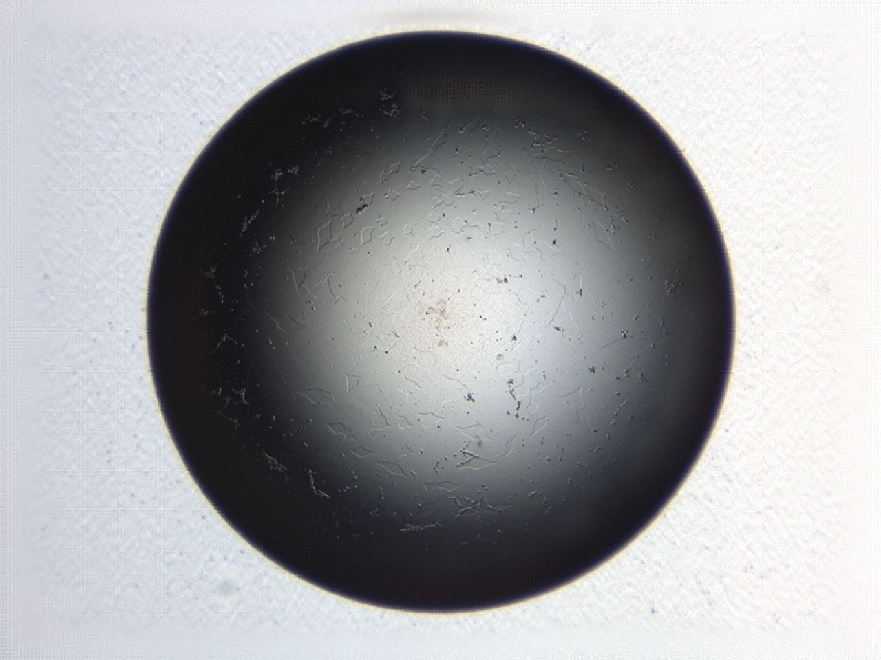 0472_B12_ImagerDefaults_1.jpg