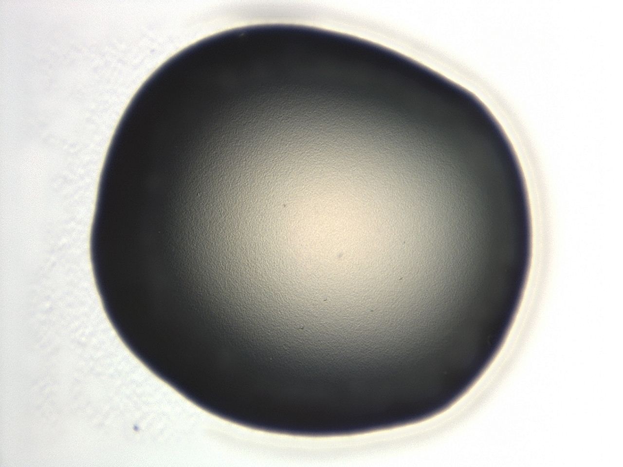 0472_F1_ImagerDefaults_1.jpg