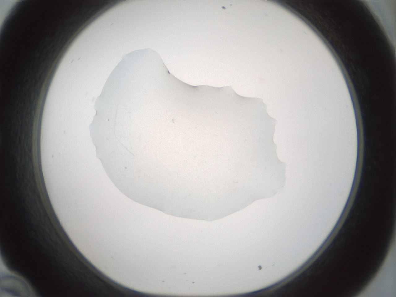 folderID240_plateID3240_batchID18309_wellNum34_profileID1_d1_r284869_ef.jpg