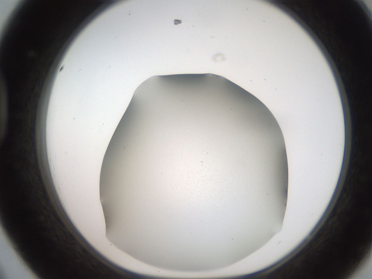 folderID242_plateID2242_batchID10083_wellNum44_profileID1_d1_r154813_ef.jpg
