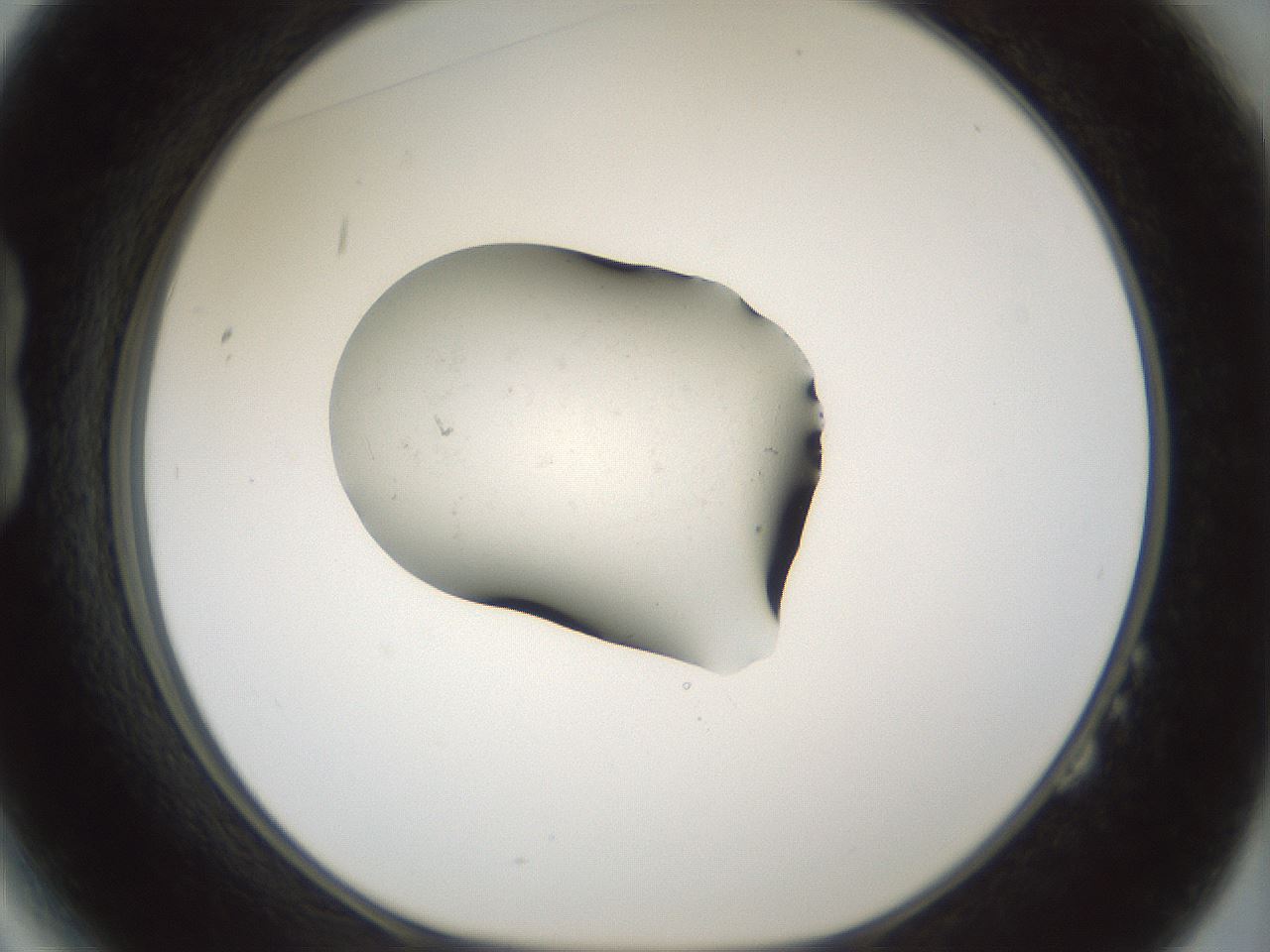 folderID241_plateID3241_batchID18923_wellNum14_profileID1_d1_r283869_ef.jpg