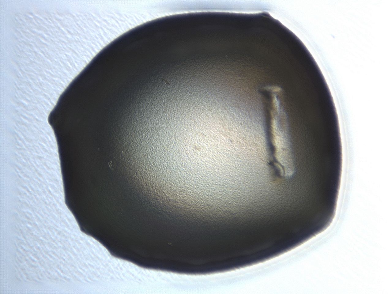 0472_H5_ImagerDefaults_1.jpg
