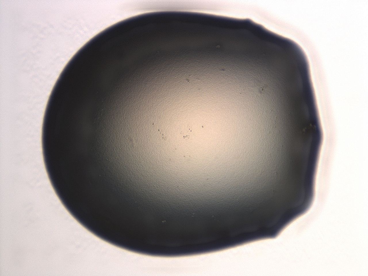 0472_H6_ImagerDefaults_1.jpg