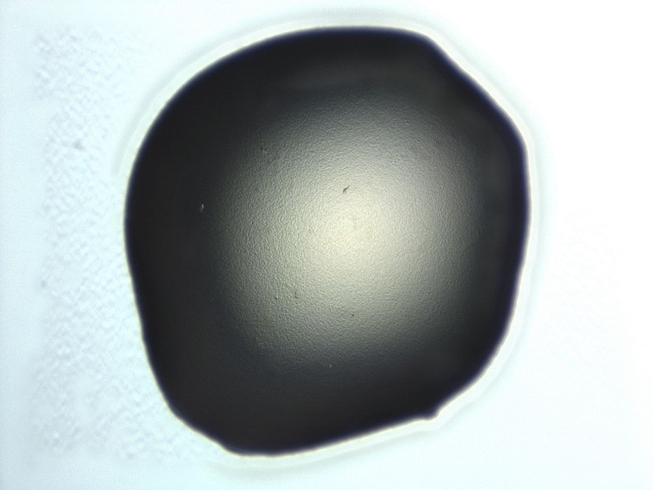0472_H11_ImagerDefaults_1.jpg