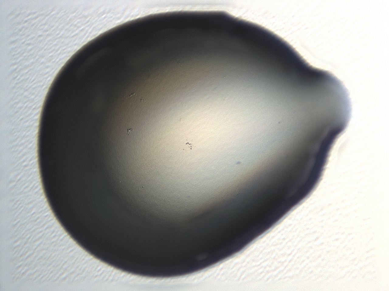 0472_H12_ImagerDefaults_1.jpg