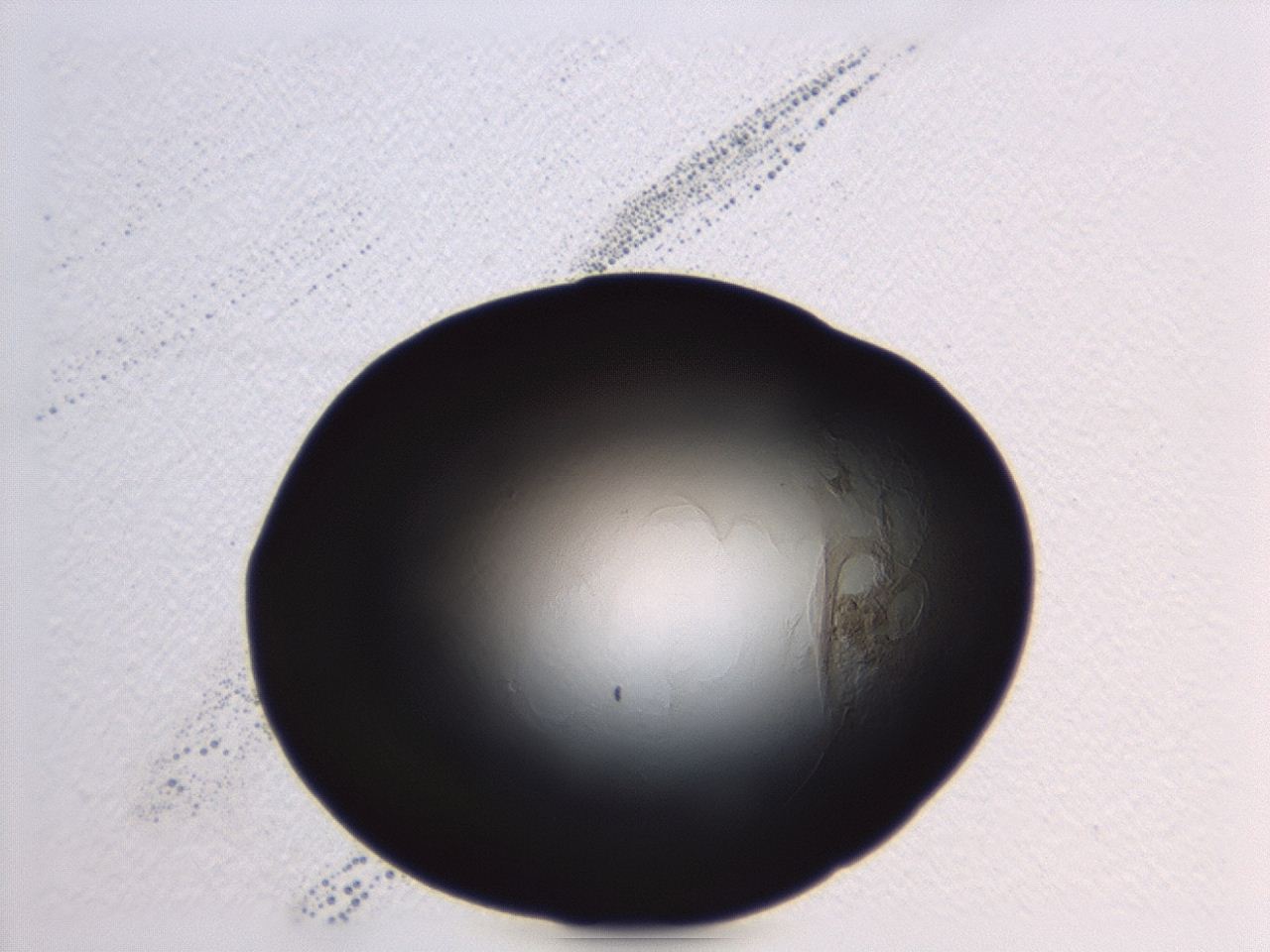 0473_C2_ImagerDefaults_0.jpg