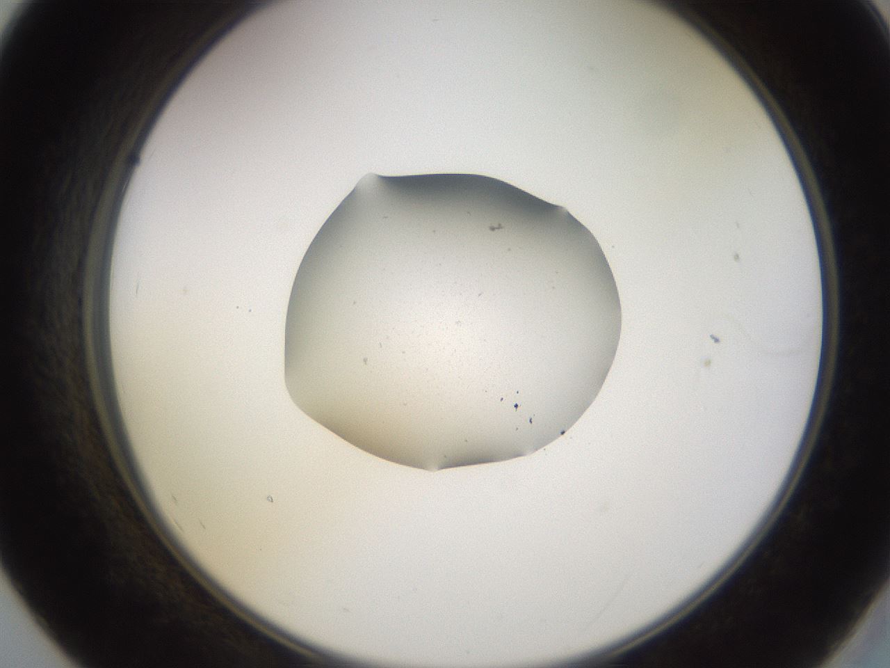 folderID249_plateID3249_batchID18364_wellNum55_profileID1_d2_r285872_ef.jpg
