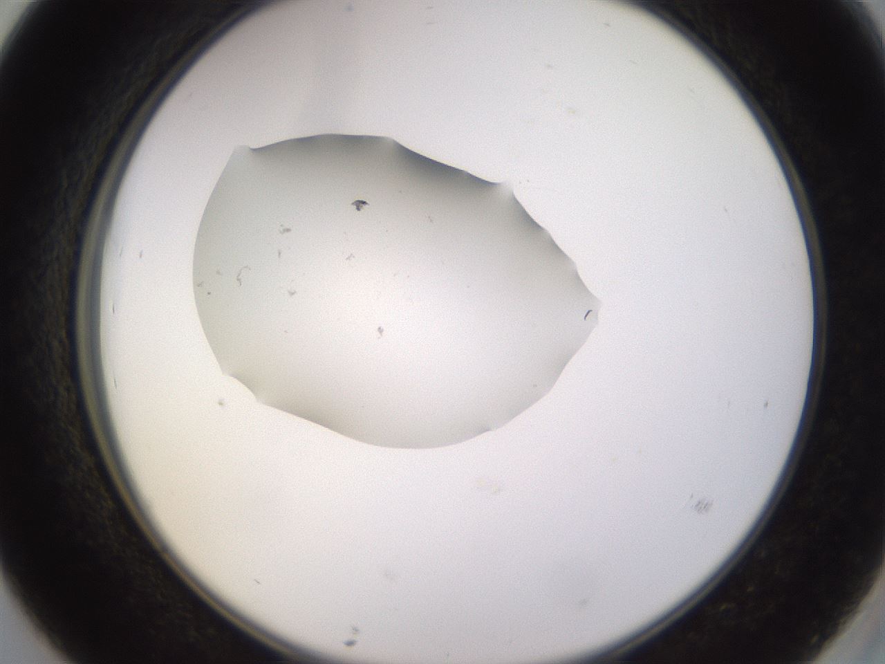 folderID249_plateID3249_batchID18938_wellNum39_profileID1_d2_r285840_ef.jpg