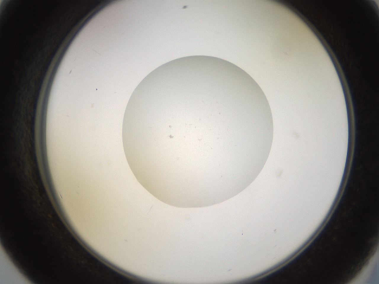 folderID249_plateID3249_batchID18410_wellNum56_profileID1_d2_r285874_ef.jpg