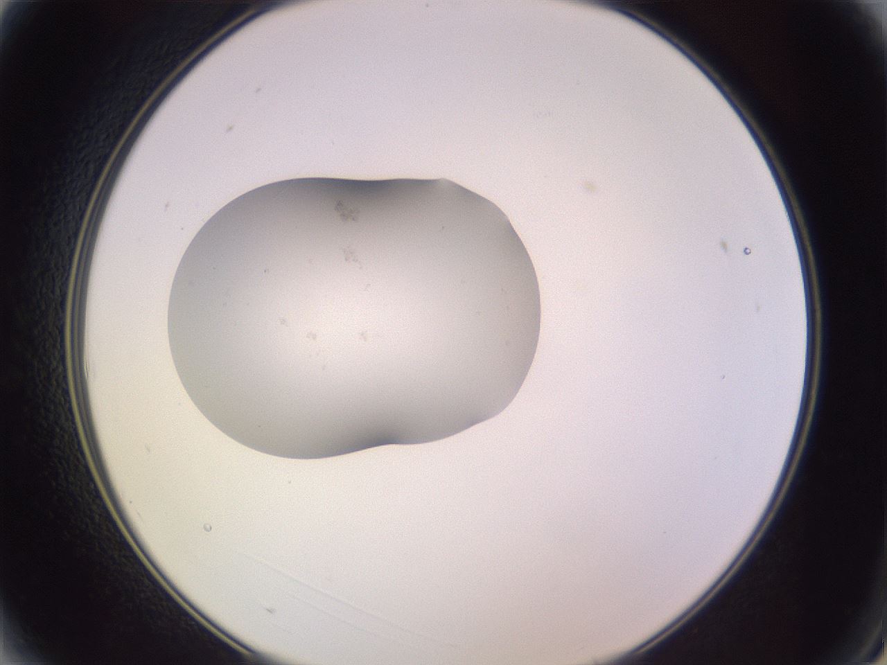 folderID250_plateID3250_batchID18335_wellNum3_profileID1_d2_r285384_ef.jpg