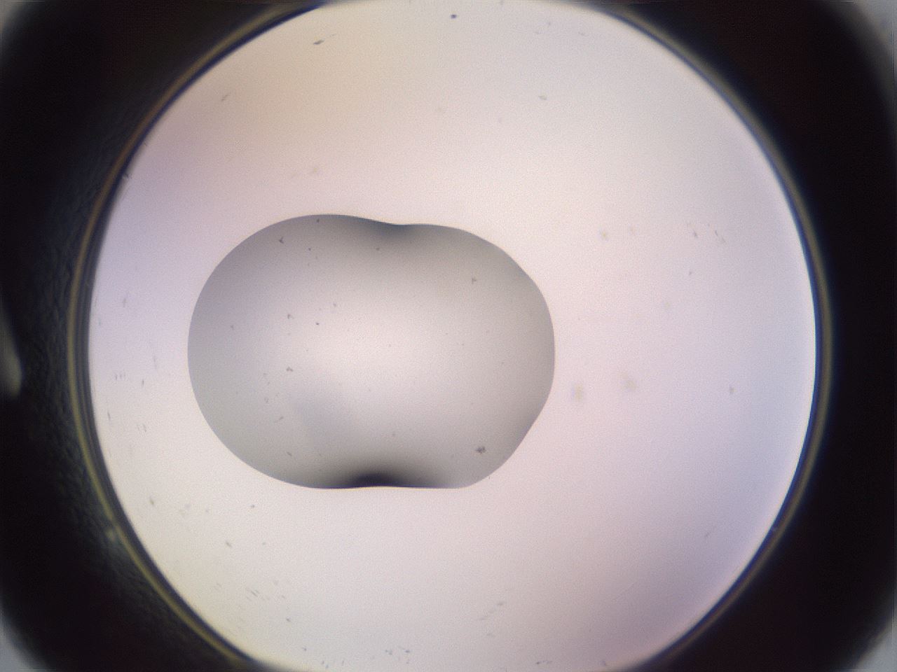 folderID250_plateID3250_batchID18931_wellNum9_profileID1_d1_r285395_ef.jpg