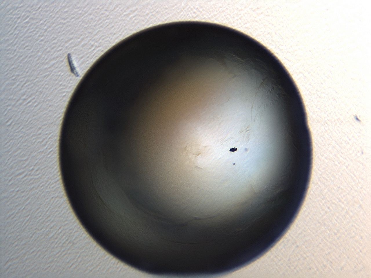 0473_H8_ImagerDefaults_0.jpg