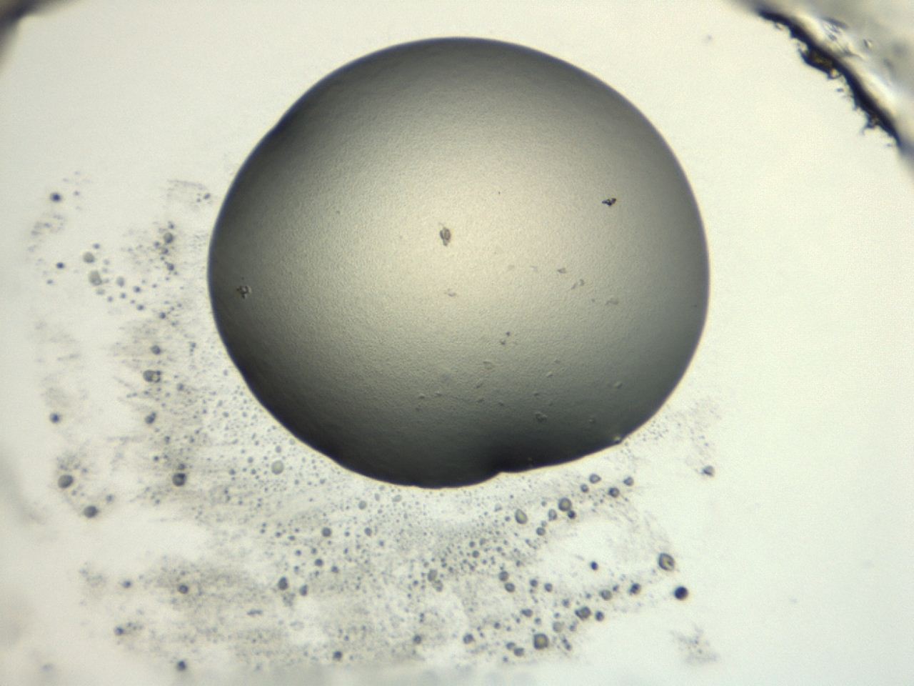 0474_F6_ImagerDefaults_1.jpg