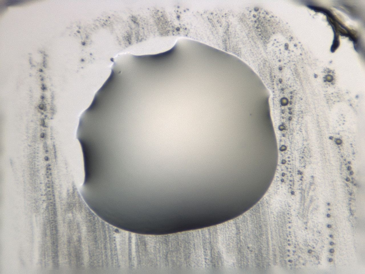 0474_F5_ImagerDefaults_1.jpg