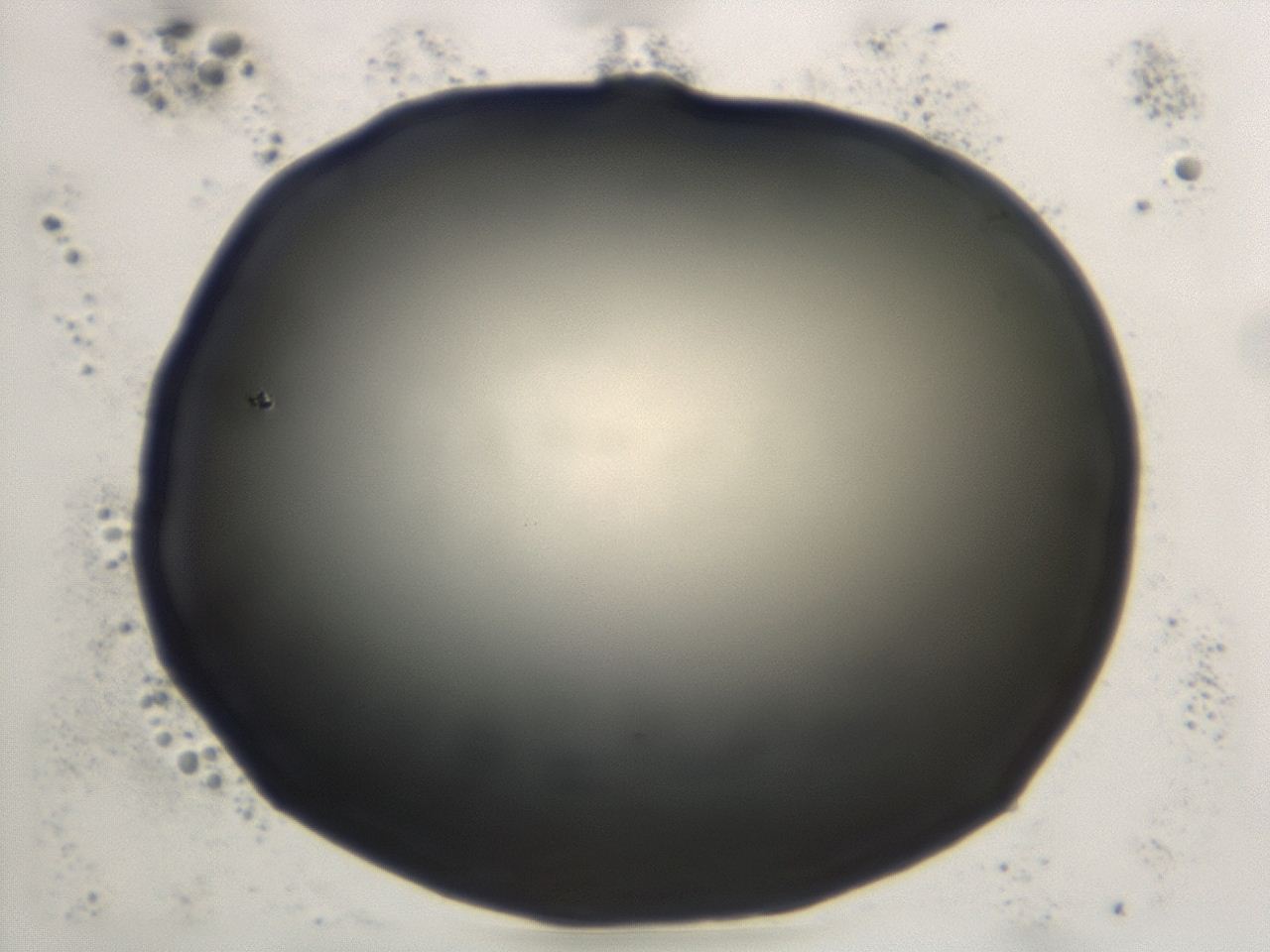 0474_F4_ImagerDefaults_1.jpg