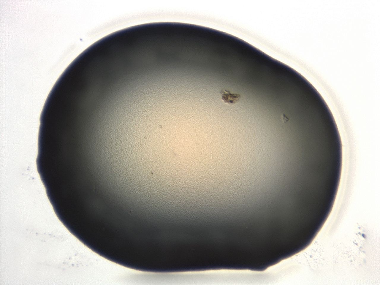 0474_F9_ImagerDefaults_1.jpg