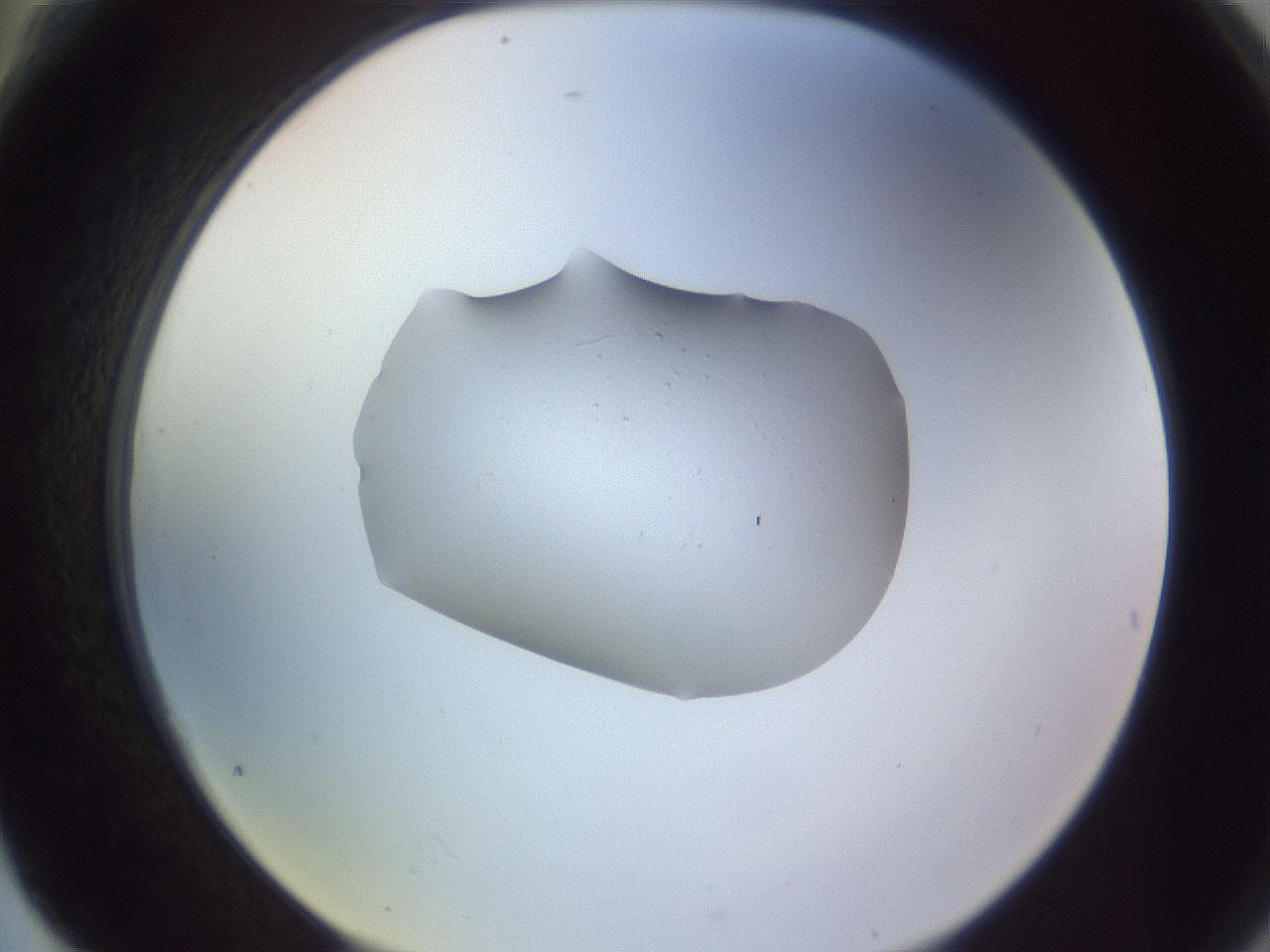 folderID253_plateID3253_batchID18366_wellNum76_profileID1_d2_r286106_ef.jpg