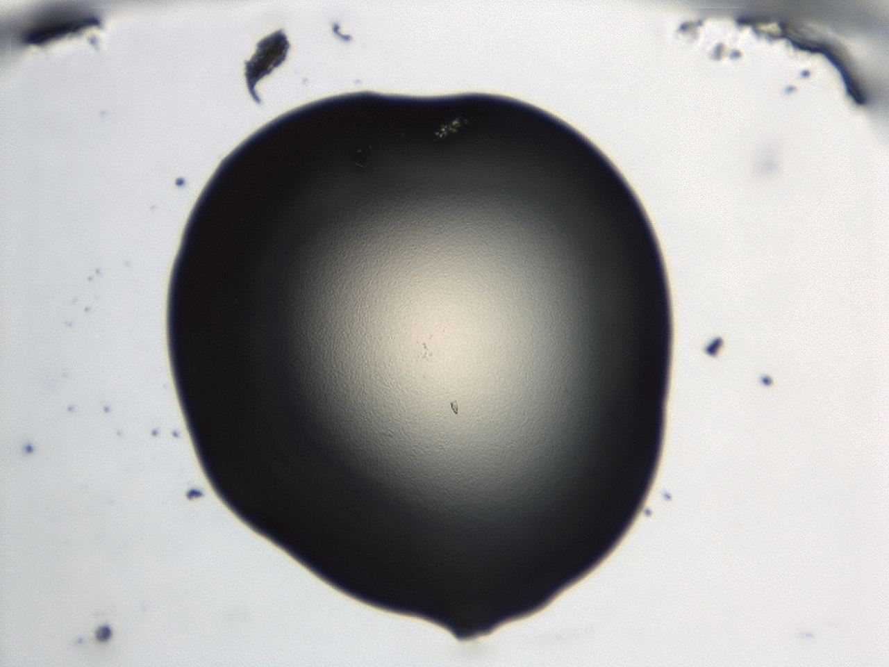 0474_B12_ImagerDefaults_1.jpg
