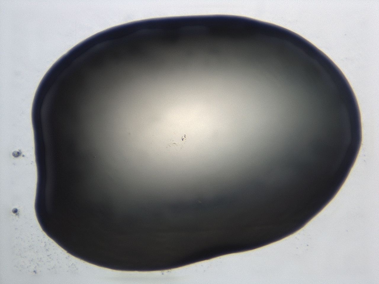 0474_C3_ImagerDefaults_1.jpg