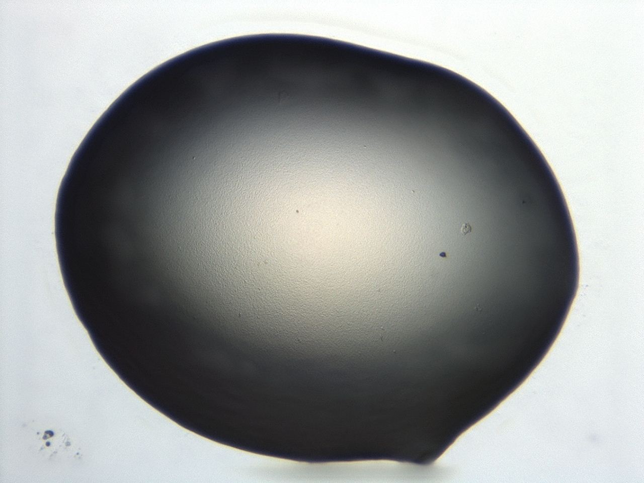 0474_C5_ImagerDefaults_1.jpg
